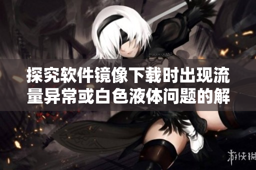 探究软件镜像下载时出现流量异常或白色液体问题的解决方案
