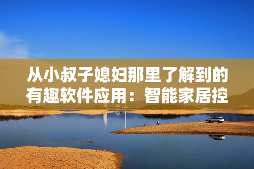 从小叔子媳妇那里了解到的有趣软件应用：智能家居控制器
