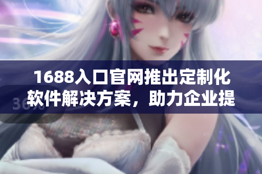 1688入口官网推出定制化软件解决方案，助力企业提升生产效率