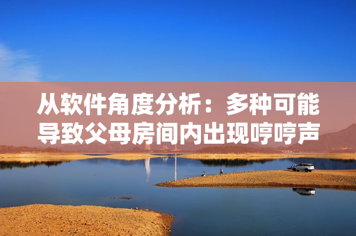 从软件角度分析：多种可能导致父母房间内出现哼哼声的原因