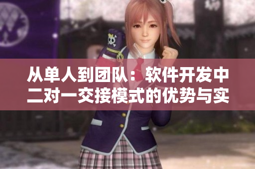 从单人到团队：软件开发中二对一交接模式的优势与实践