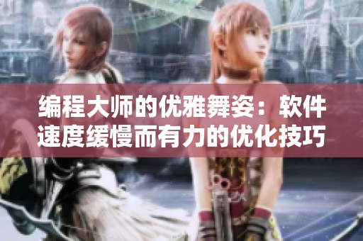 编程大师的优雅舞姿：软件速度缓慢而有力的优化技巧