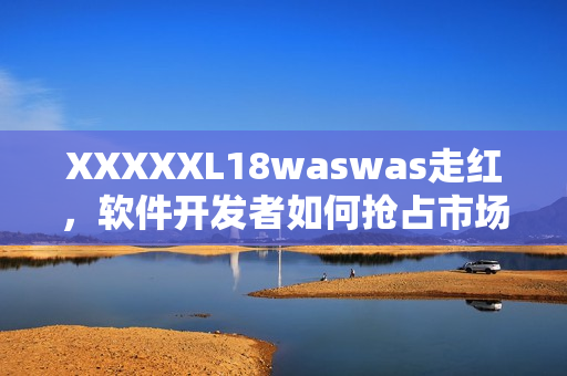 XXXXXL18waswas走红，软件开发者如何抢占市场？