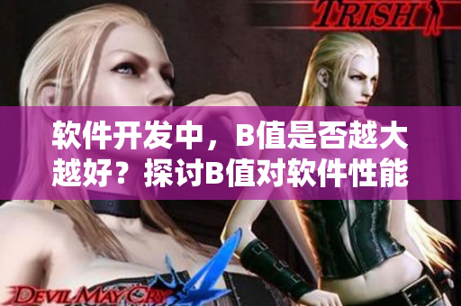 软件开发中，B值是否越大越好？探讨B值对软件性能及质量影响的实证研究！