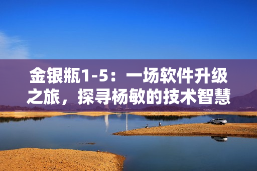 金银瓶1-5：一场软件升级之旅，探寻杨敏的技术智慧