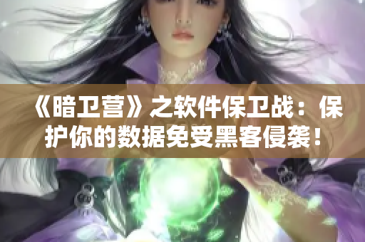 《暗卫营》之软件保卫战：保护你的数据免受黑客侵袭！