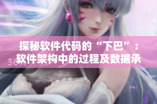 探秘软件代码的“下巴”：软件架构中的过程及数据承载模块。