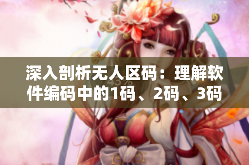 深入剖析无人区码：理解软件编码中的1码、2码、3码区别