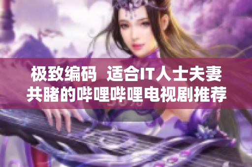 极致编码  适合IT人士夫妻共睹的哔哩哔哩电视剧推荐