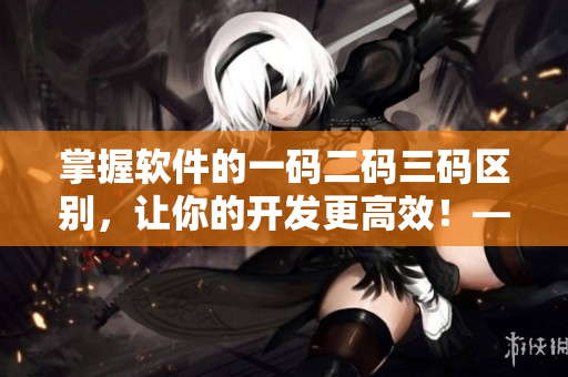 掌握软件的一码二码三码区别，让你的开发更高效！——软件码分类解析