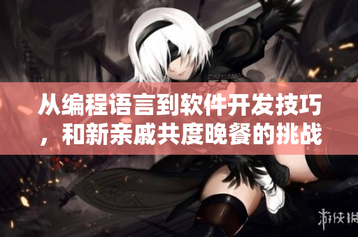 从编程语言到软件开发技巧，和新亲戚共度晚餐的挑战与收获