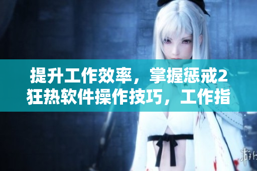 提升工作效率，掌握惩戒2狂热软件操作技巧，工作指导第2集