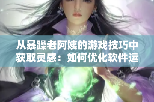 从暴躁老阿姨的游戏技巧中获取灵感：如何优化软件运行体验？