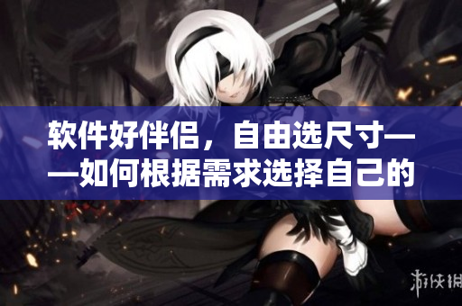 软件好伴侣，自由选尺寸——如何根据需求选择自己的防护软件