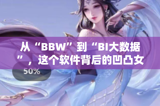 从“BBW”到“BI大数据”，这个软件背后的凹凸女经济学