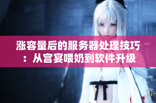 涨容量后的服务器处理技巧：从宫宴喂奶到软件升级