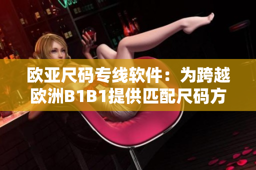 欧亚尺码专线软件：为跨越欧洲B1B1提供匹配尺码方案
