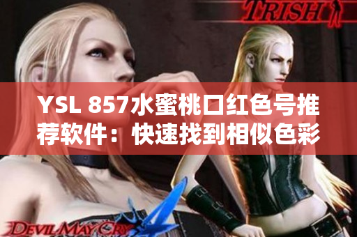 YSL 857水蜜桃口红色号推荐软件：快速找到相似色彩匹配！