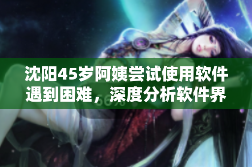 沈阳45岁阿姨尝试使用软件遇到困难，深度分析软件界面与操作方法