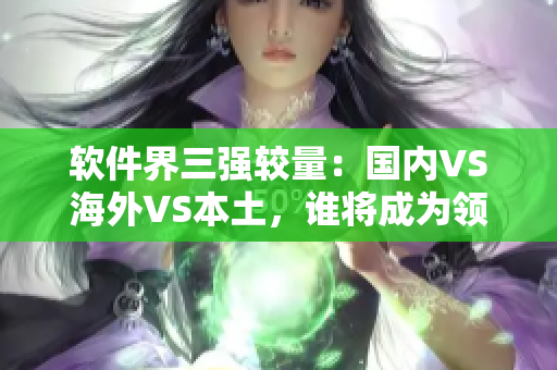 软件界三强较量：国内VS海外VS本土，谁将成为领袖？