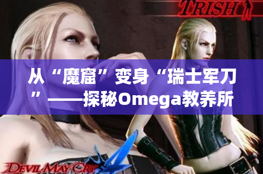 从“魔窟”变身“瑞士军刀”——探秘Omega教养所地下室软件的发展历程