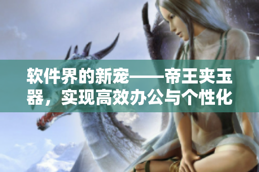 软件界的新宠——帝王夹玉器，实现高效办公与个性化需求