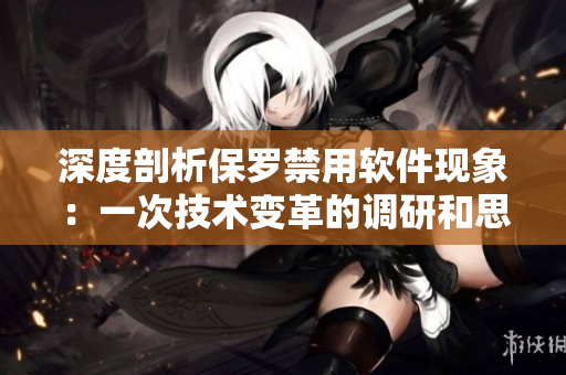 深度剖析保罗禁用软件现象：一次技术变革的调研和思考