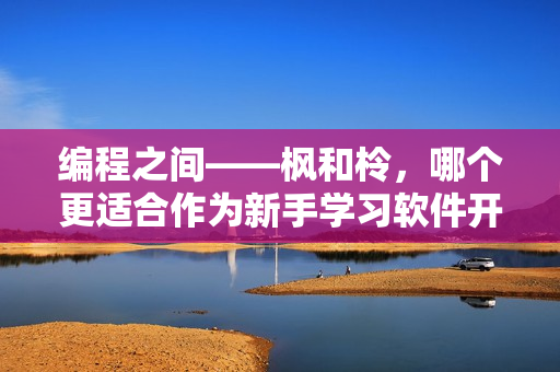 编程之间——枫和柃，哪个更适合作为新手学习软件开发的首选？