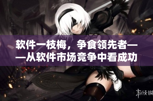 软件一枝梅，争食领先者——从软件市场竞争中看成功之道