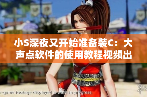 小S深夜又开始准备装C：大声点软件的使用教程视频出炉！