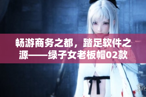 畅游商务之都，踏足软件之源——绿子女老板帽02款软件集成平台