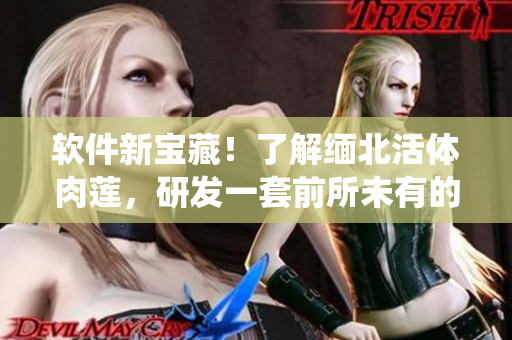 软件新宝藏！了解缅北活体肉莲，研发一套前所未有的应用系统