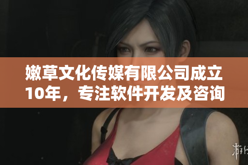 嫩草文化传媒有限公司成立10年，专注软件开发及咨询服务