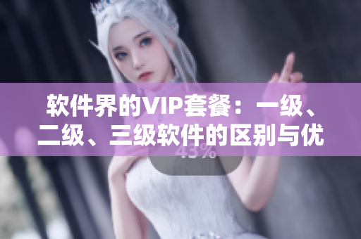 软件界的VIP套餐：一级、二级、三级软件的区别与优缺点解析