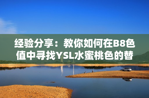 经验分享：教你如何在B8色值中寻找YSL水蜜桃色的替代方案