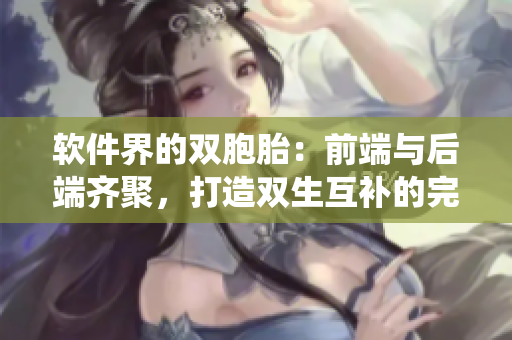 软件界的双胞胎：前端与后端齐聚，打造双生互补的完美系统