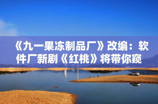 《九一果冻制品厂》改编：软件厂新剧《红桃》将带你窥探软件行业内幕！