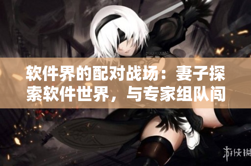 软件界的配对战场：妻子探索软件世界，与专家组队闯关