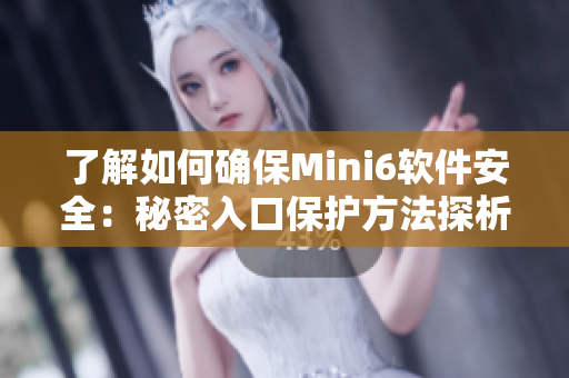 了解如何确保Mini6软件安全：秘密入口保护方法探析