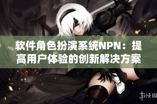 软件角色扮演系统NPN：提高用户体验的创新解决方案