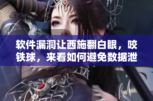 软件漏洞让西施翻白眼，咬铁球，来看如何避免数据泄露
