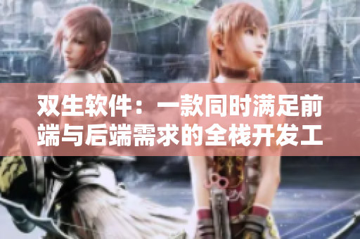 双生软件：一款同时满足前端与后端需求的全栈开发工具