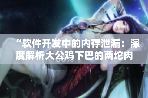 “软件开发中的内存泄漏：深度解析大公鸡下巴的两坨肉”