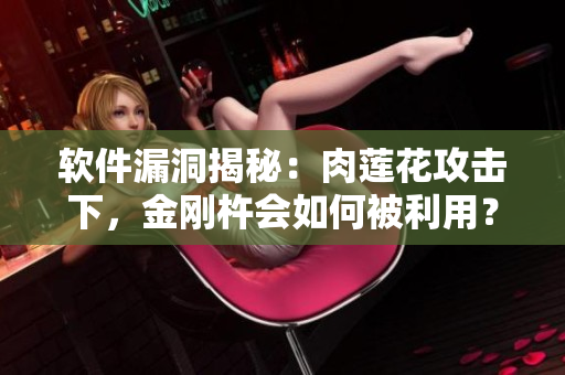 软件漏洞揭秘：肉莲花攻击下，金刚杵会如何被利用？