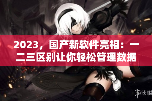 2023，国产新软件亮相：一二三区别让你轻松管理数据！