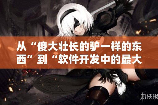 从“傻大壮长的驴一样的东西”到“软件开发中的最大负担-代码质量管理”