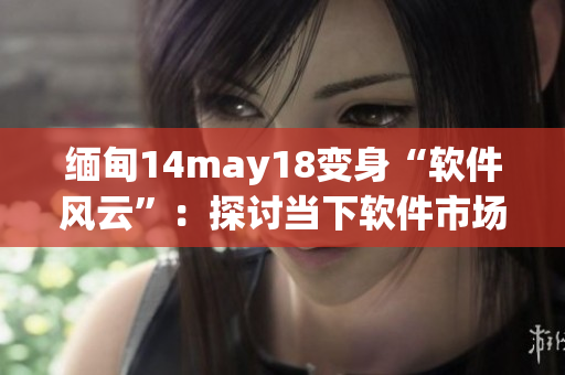 缅甸14may18变身“软件风云”：探讨当下软件市场现状与未来发展趋势