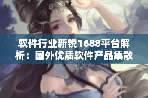 软件行业新锐1688平台解析：国外优质软件产品集散地
