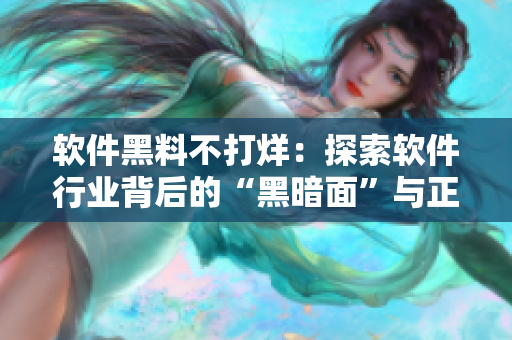 软件黑料不打烊：探索软件行业背后的“黑暗面”与正能量