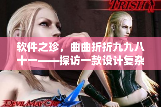 软件之珍，曲曲折折九九八十一——探访一款设计复杂的软件系统